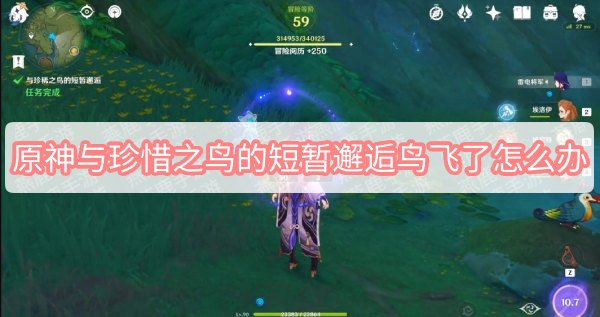 原神与珍惜之鸟的短暂邂逅鸟飞了怎么办 原神与珍惜之鸟的短暂邂逅鸟跑了解决办法