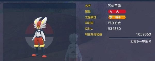 宝可梦朱紫闪焰王牌怎么打 宝可梦朱紫闪焰王牌打法攻略