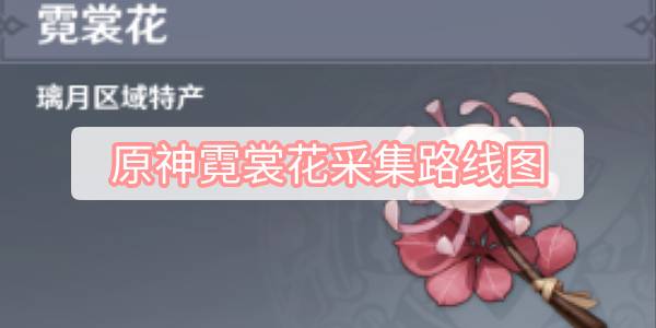 原神霓裳花采集路线图 原神霓裳花采集路线图一览